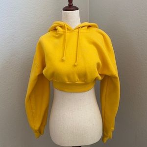 Aritzia TNA Ultra Cropped Hoodie